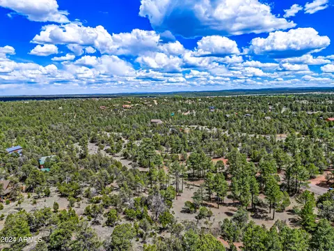 2255 Bootlegger -- #3, Overgaard, AZ 85933 photo 6