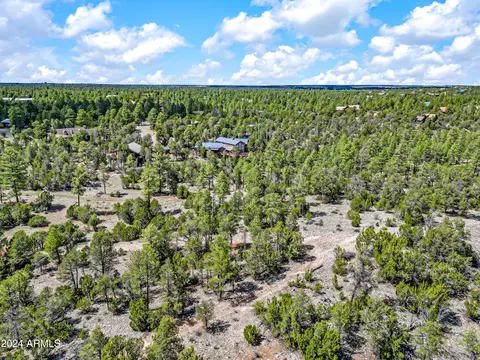 2255 Bootlegger -- #3, Overgaard, AZ 85933 photo 22
