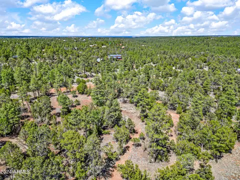 2255 Bootlegger -- #3, Overgaard, AZ 85933 photo 15