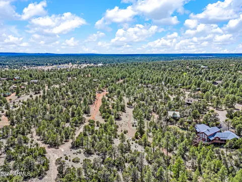 2255 Bootlegger -- #3, Overgaard, AZ 85933 photo 9