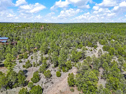 2255 Bootlegger -- #3, Overgaard, AZ 85933 photo 21