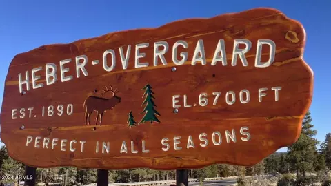 2255 Bootlegger -- #3, Overgaard, AZ 85933 photo 29