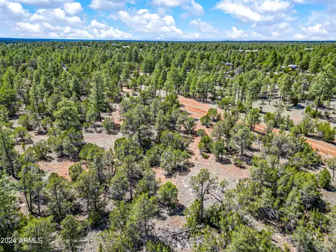 2255 Bootlegger -- #3, Overgaard, AZ 85933 photo 16