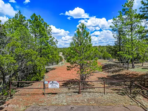 2255 Bootlegger -- #3, Overgaard, AZ 85933 photo 3