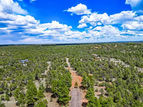 2255 Bootlegger -- #3, Overgaard, AZ 85933 photo 2