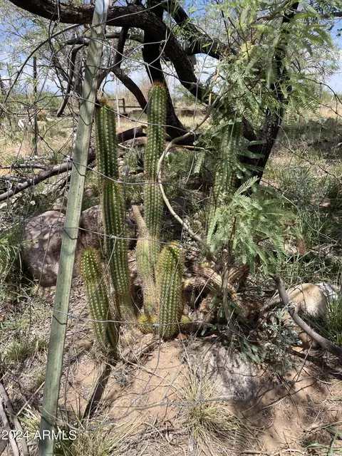 9048 E Uncle Curtis Ln #-, Pearce, AZ 85625 photo 19
