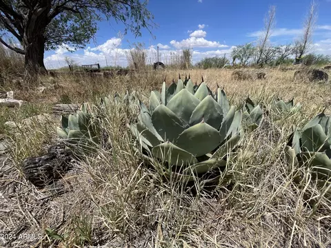 9048 E Uncle Curtis Ln #-, Pearce, AZ 85625 photo 6