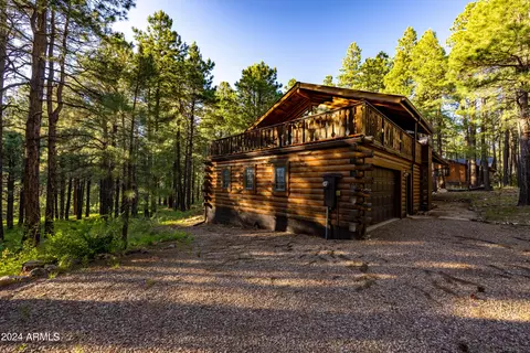3666 Larson Loop, Forest Lakes, AZ 85931 photo 63