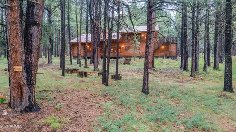 3666 Larson Loop, Forest Lakes, AZ 85931 photo 57