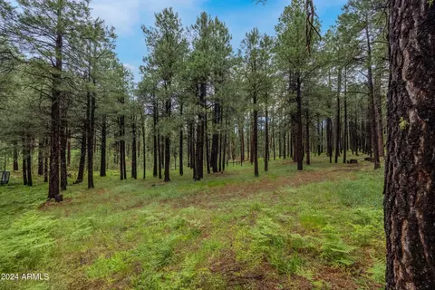 3666 Larson Loop, Forest Lakes, AZ 85931 photo 52