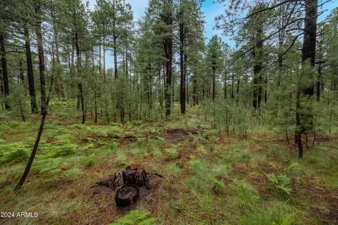 3666 Larson Loop, Forest Lakes, AZ 85931 photo 51