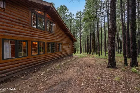 3666 Larson Loop, Forest Lakes, AZ 85931 photo 59