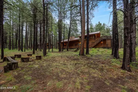 3666 Larson Loop, Forest Lakes, AZ 85931 photo 49