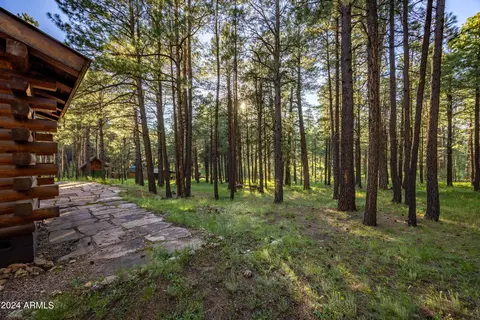 3666 Larson Loop, Forest Lakes, AZ 85931 photo 65