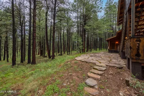 3666 Larson Loop, Forest Lakes, AZ 85931 photo 42