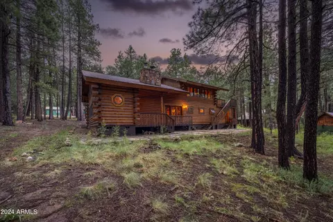 3666 Larson Loop, Forest Lakes, AZ 85931 photo 38