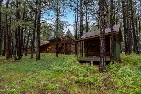 3666 Larson Loop, Forest Lakes, AZ 85931 photo 50