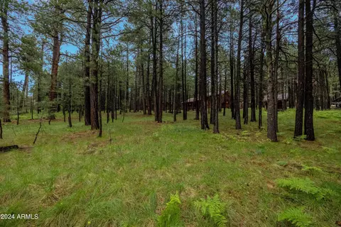 3666 Larson Loop, Forest Lakes, AZ 85931 photo 47