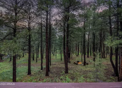 3666 Larson Loop, Forest Lakes, AZ 85931 photo 48