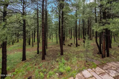 3666 Larson Loop, Forest Lakes, AZ 85931 photo 44