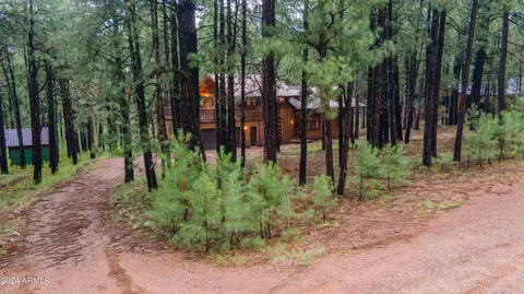 3666 Larson Loop, Forest Lakes, AZ 85931 photo 54