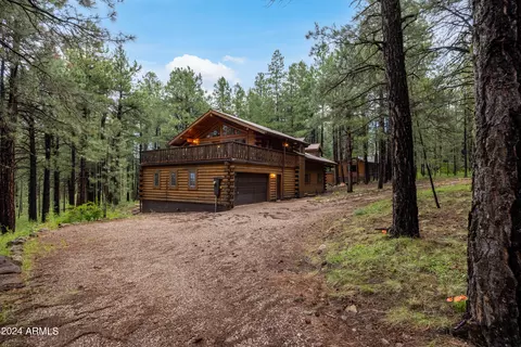 3666 Larson Loop, Forest Lakes, AZ 85931 photo 61