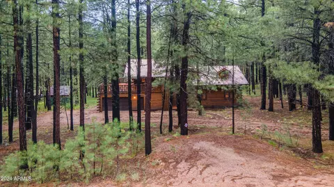 3666 Larson Loop, Forest Lakes, AZ 85931 photo 55