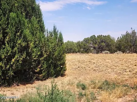3958 Hidden Ranch Rd, Snowflake, AZ 85937 photo 46