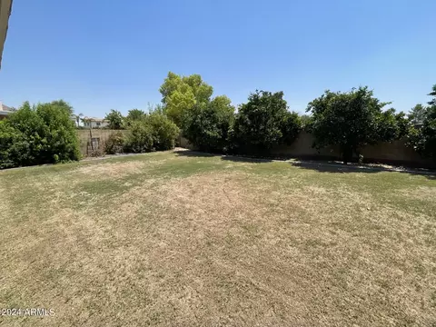 1813 N Oracle --, Mesa, AZ 85203 photo 32