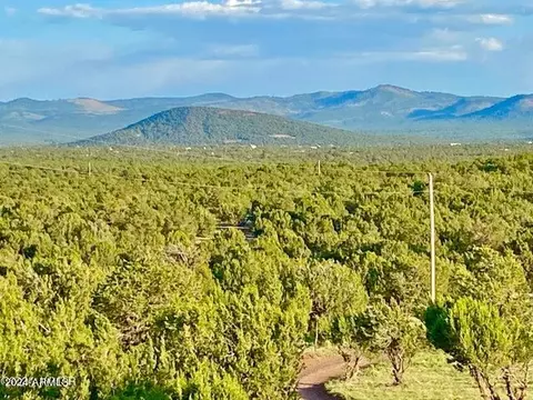 0 N3208 Lot B 918 Acres -- #B, Vernon, AZ 85940