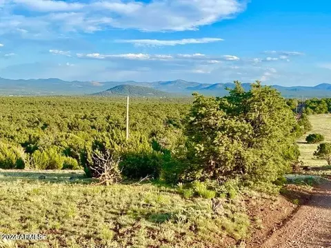 0 N3208 Lot C 981 Acres -- #C, Vernon, AZ 85940