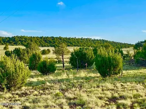0 N3208 Lot D 981 Acres -- #D, Vernon, AZ 85940