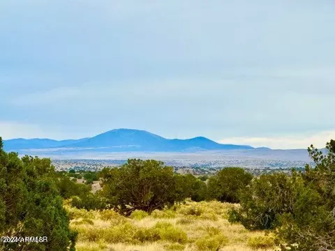 River Springs Ranch Unit 1 Lot 17 -- #-, Saint Johns, AZ 85936