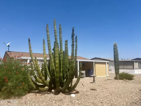 2400 E Baseline Ave E #246, Apache Junction, AZ 85119 photo 22
