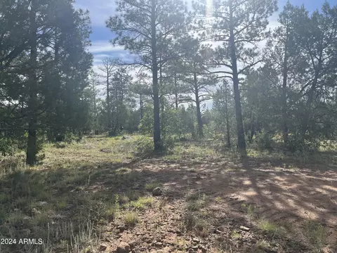 5509 Red Squirrel Ln #58, Lakeside, AZ 85929
