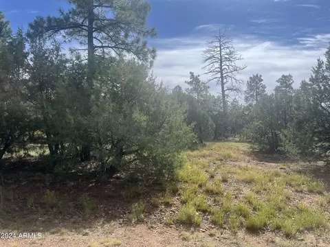 5455 Red Squirrel Ln #54, Lakeside, AZ 85929