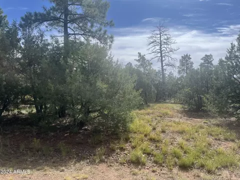 5455 Red Squirrel Ln #54, Lakeside, AZ 85929
