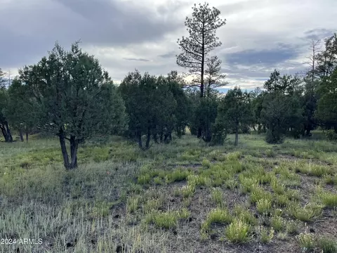 5402 Red Squirrel Ln #27, Lakeside, AZ 85929