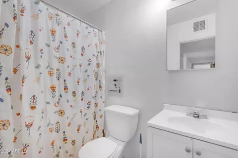 1329 E Orange St, Tempe, AZ 85281 photo 29