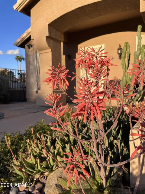 3733 E Rocky Slope Dr, Phoenix, AZ 85044 photo 29