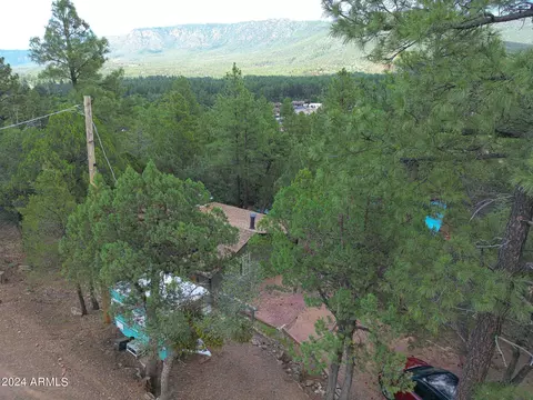 3483 N Hillside Rd, Pine, AZ 85544 photo 38