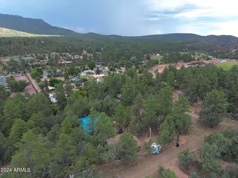 3483 N Hillside Rd, Pine, AZ 85544 photo 47