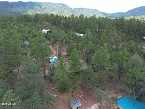 3483 N Hillside Rd, Pine, AZ 85544 photo 44