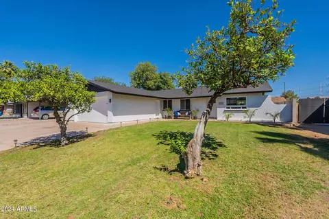 203 E Laurel Ave, Gilbert, AZ 85234 photo 4