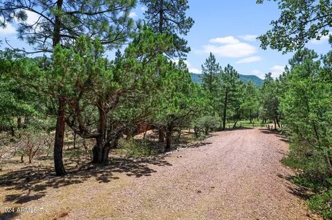 5861 E Arroyo Way, Pine, AZ 85544 photo 29
