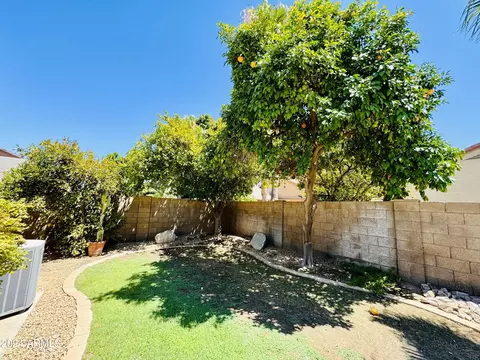 881 E Constitution Dr, Gilbert, AZ 85296 photo 38