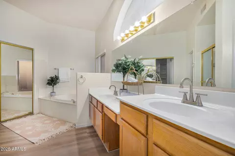 Bath - 7358 E Red Hawk St, Mesa, AZ 85207 photo 3 of 6