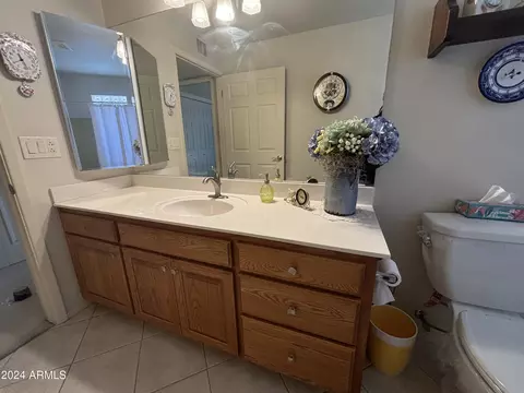 4910 E Flossmoor Ave, Mesa, AZ 85206 photo 29
