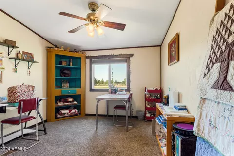 8507 E Sky Trl, Hereford, AZ 85615 photo 17