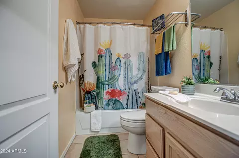 2343 E Willow Wick Rd, Gilbert, AZ 85296 photo 38